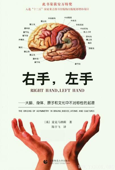 《右手，左手——大脑、身体、原子和文化中不对称性的起源》_[英] 麦克马纳斯_扫描版[PDF]