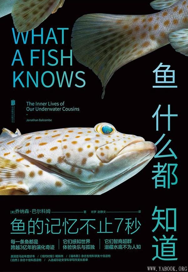 《鱼什么都知道》(未读·探索家)[美]乔纳森·巴尔科姆【文字版_PDF电子书_下载】
