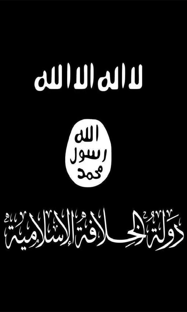 组织机构：ISIS