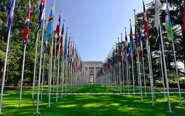 组织机构：联合国安全理事会