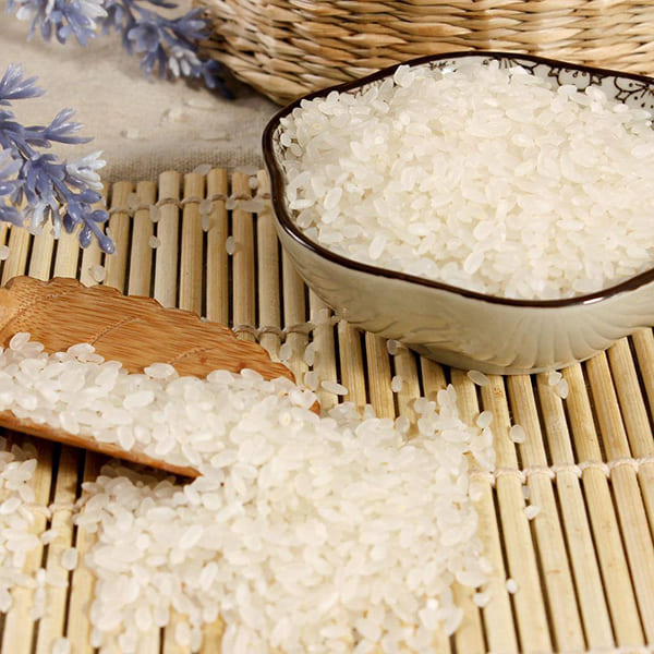 植物：水稻