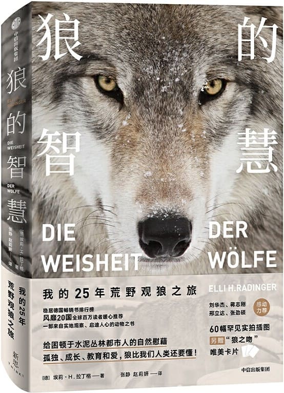 《狼的智慧》（实地观察的野生动物世界。真实的狼，并非古老文化中宣扬的那样凶险、残暴，反而有着诸多值得人类学习、重视的地方）埃莉·H·拉丁格【文字版_PDF电子书_下载】