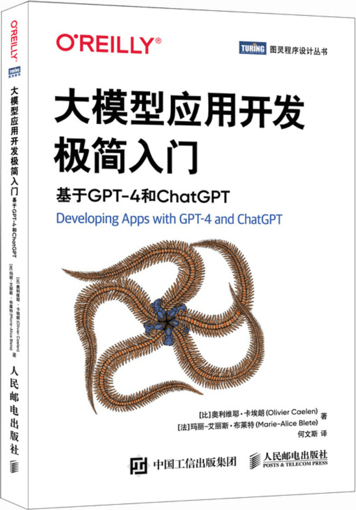 《大模型应用开发极简入门：基于GPT-4和ChatGPT》奥利维耶·卡埃朗【文字版_PDF电子书_雅书】