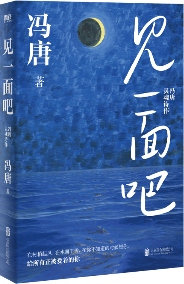 《见一面吧》（磨铁·冯唐作品）冯唐【文字版_PDF电子书_雅书】